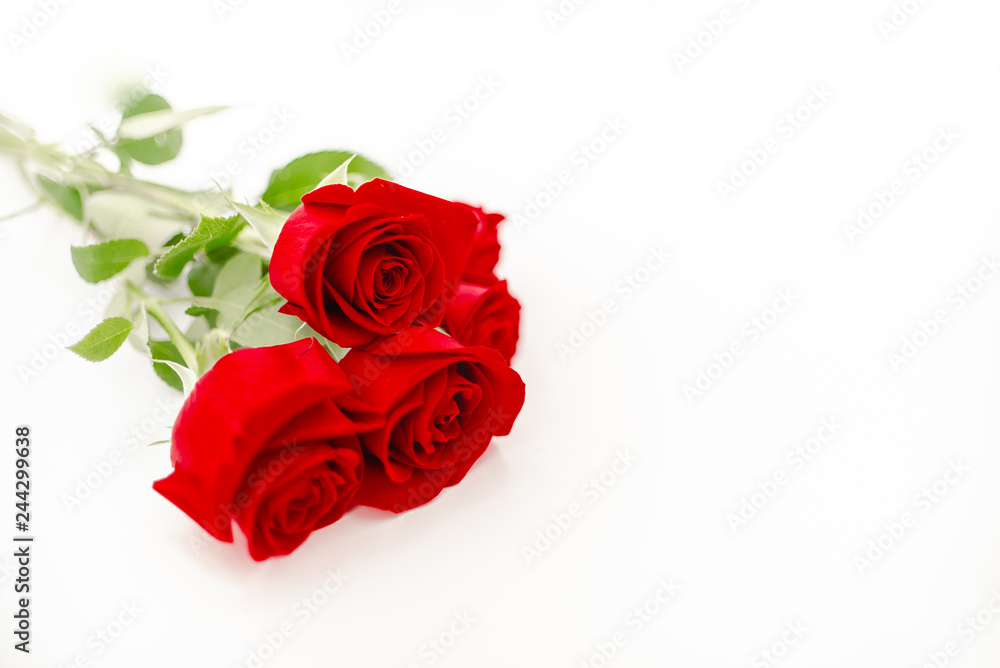 Fototapeta premium Bouquet of red roses with a red ribbon. Eights march woman's day, holiday. Flowers on a white background copespace. Horizontal top view