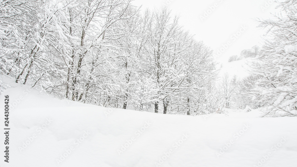 Fototapeta premium abruzzo