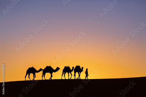 Silhouette of a camel caravan at sunrise in desert Sahara, Morocco