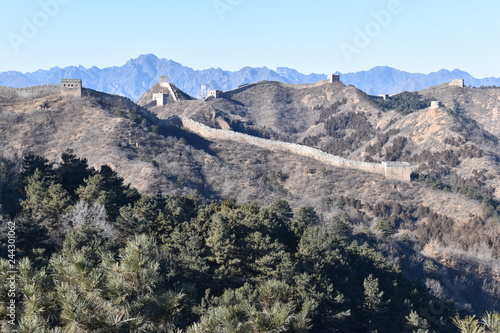 Panorama of the Great Wall in Jinshanling in winter with green trees in front near Beijing in China