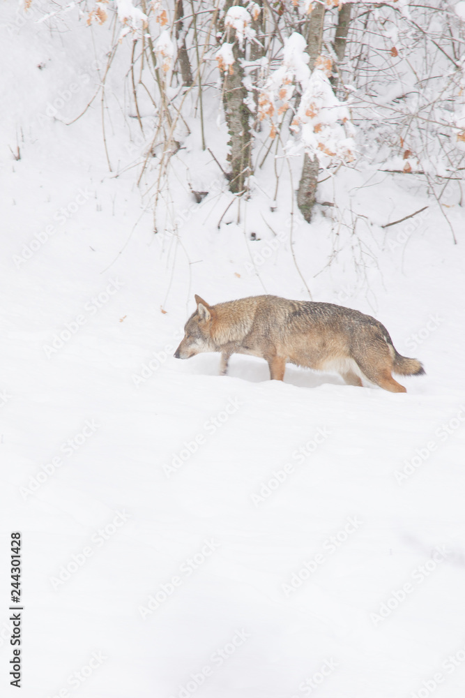 Obraz premium abruzzo