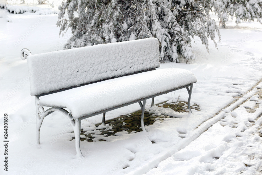 bench under the snow in the Park