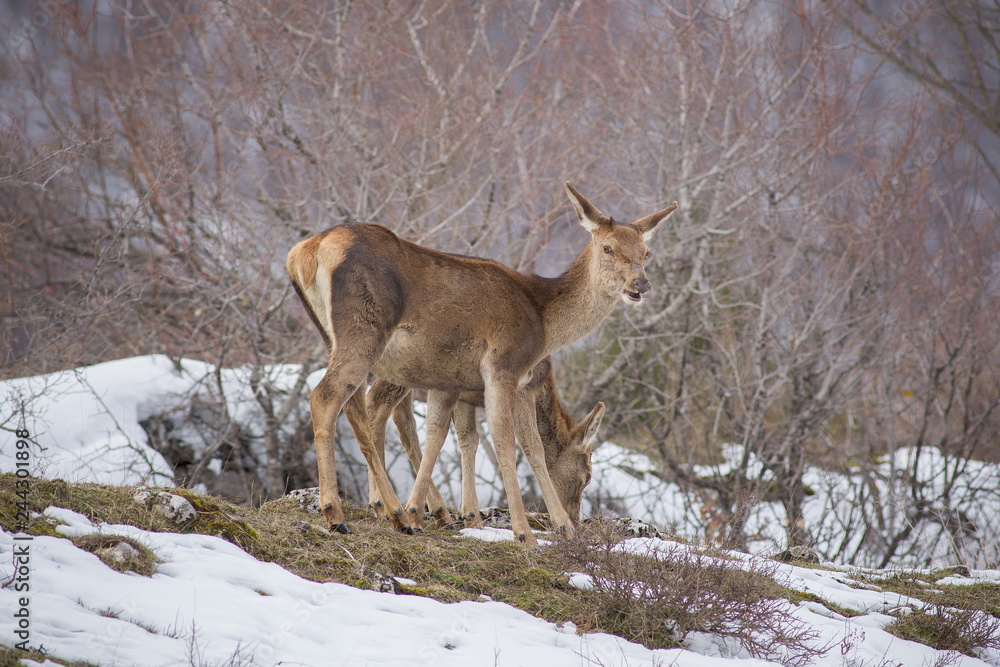 abruzzo abruzzo