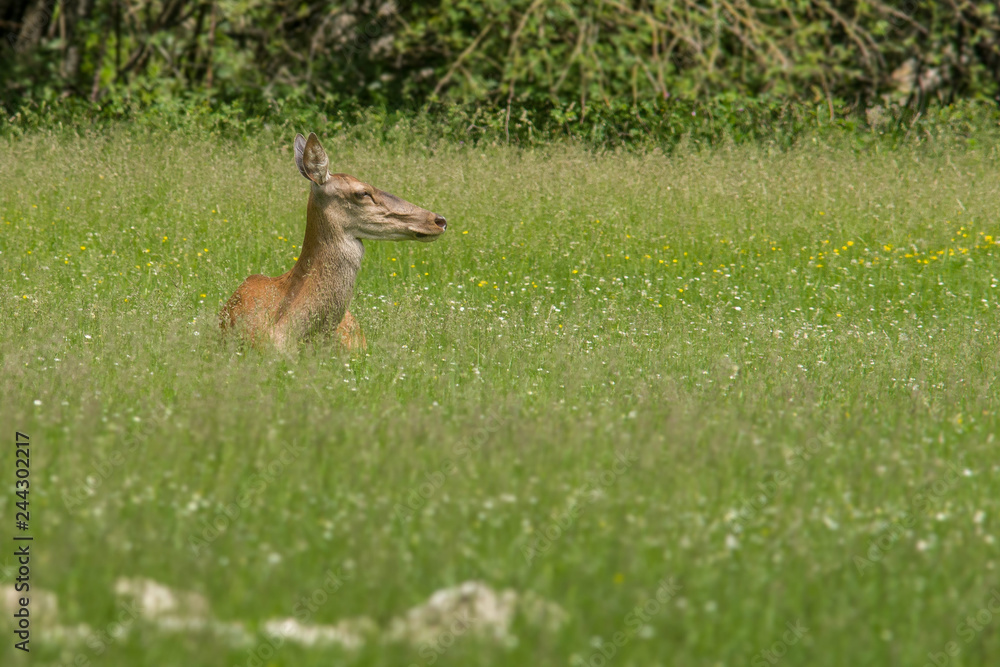 abruzzo abruzzo