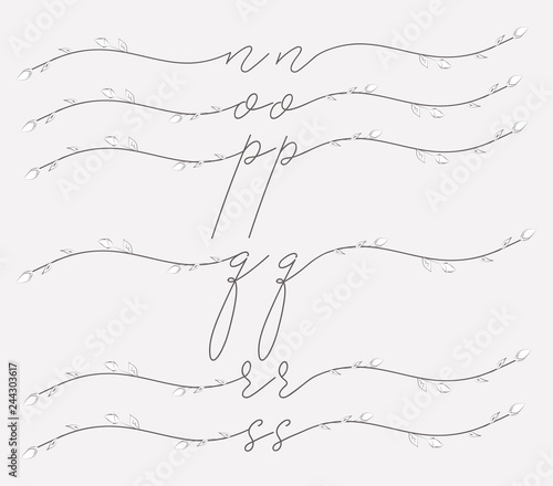 Hand Lettering floral lowercase monograms and logos