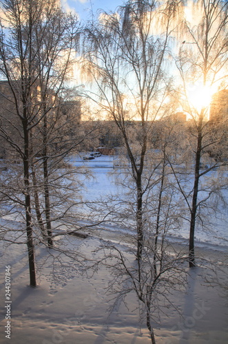 Winter Morning