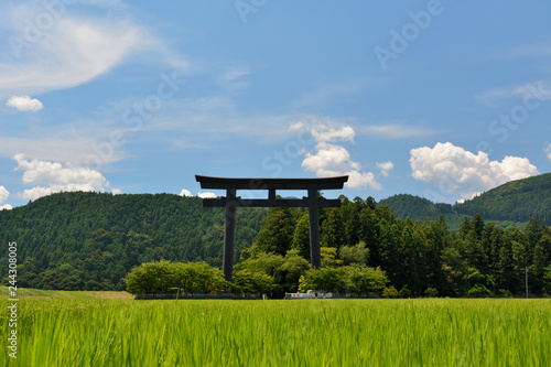 guard frame at the entrance to a Shinto shrine, rice field, blue sky - Kumano Hongu, Japan : 奉祝 記念行事12月迄斎行中-celebration is being held until December photo