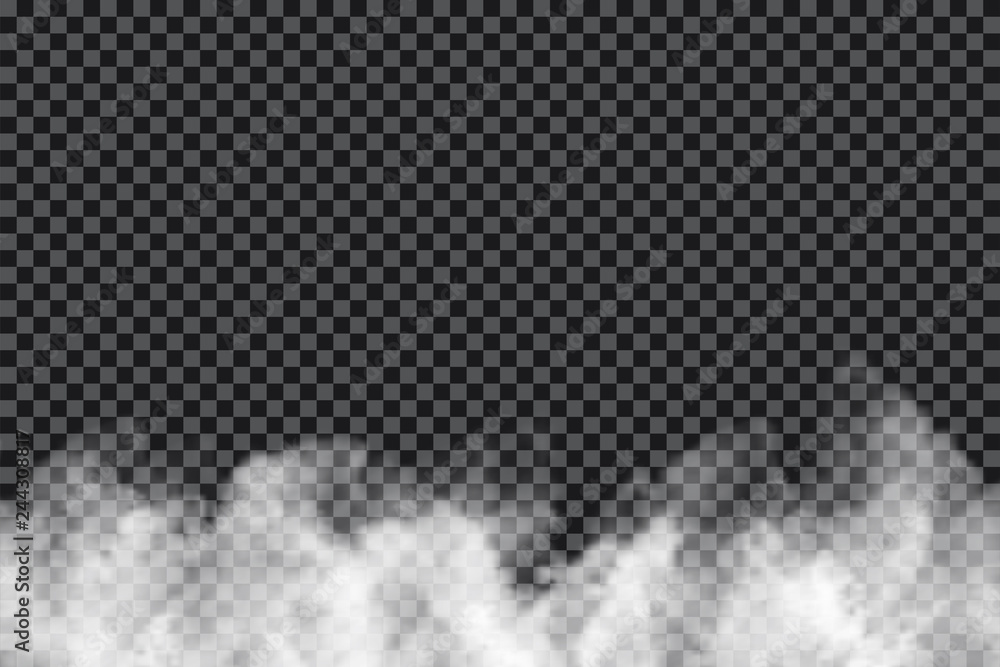 Smoke clouds on transparent background. Realistic fog or mist texture isolated on background. Transparent smoke effect