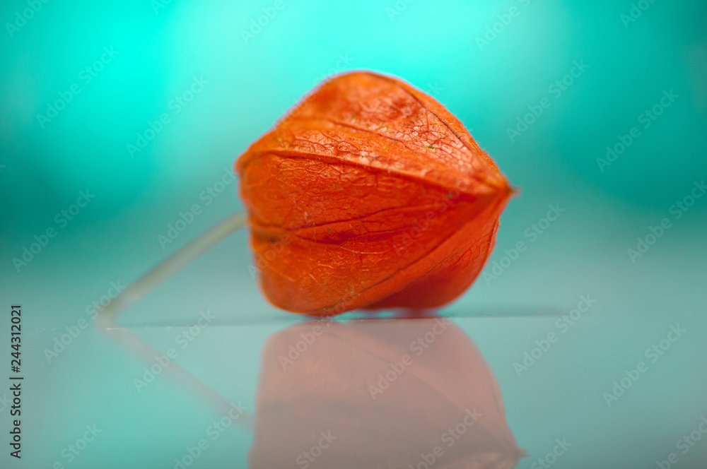 Close-up of cape gooseberry. Shallow depth of field. Close-up of cape gooseberry. Shallow depth of field.