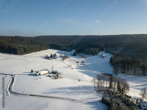 Winterwunderland im Schwarzwald / Triberg / Deutschland