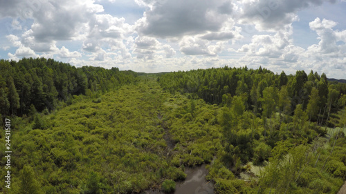 Wild swamps of Belarus. Marshland. Peat bogs.