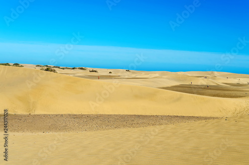 Beautiful yellow sand dunes against the blue sky. Natural background.