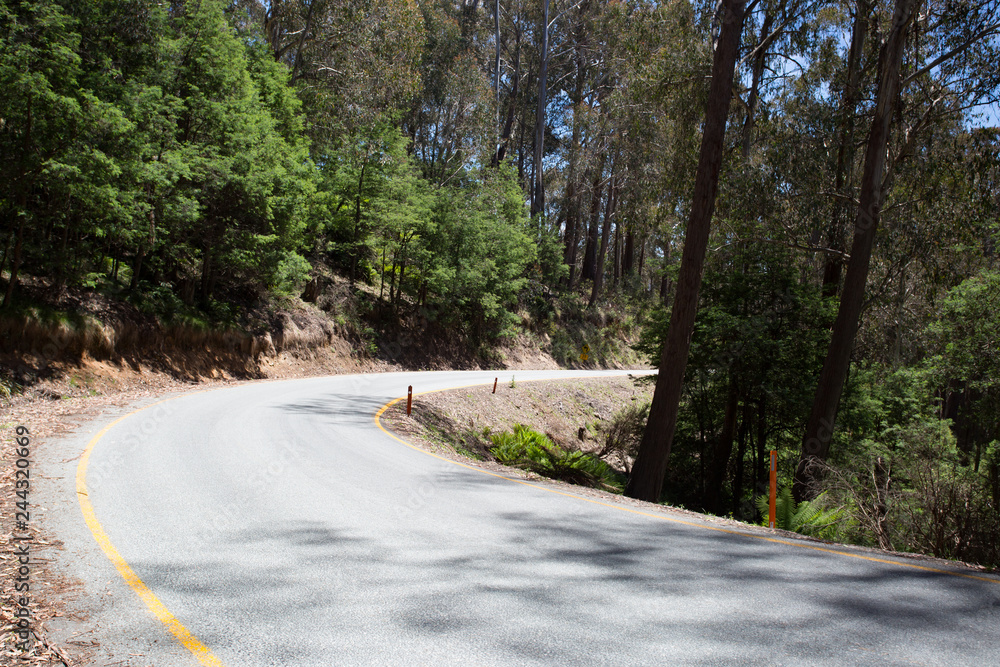 Fototapeta premium Mt Buller Alpine Rd