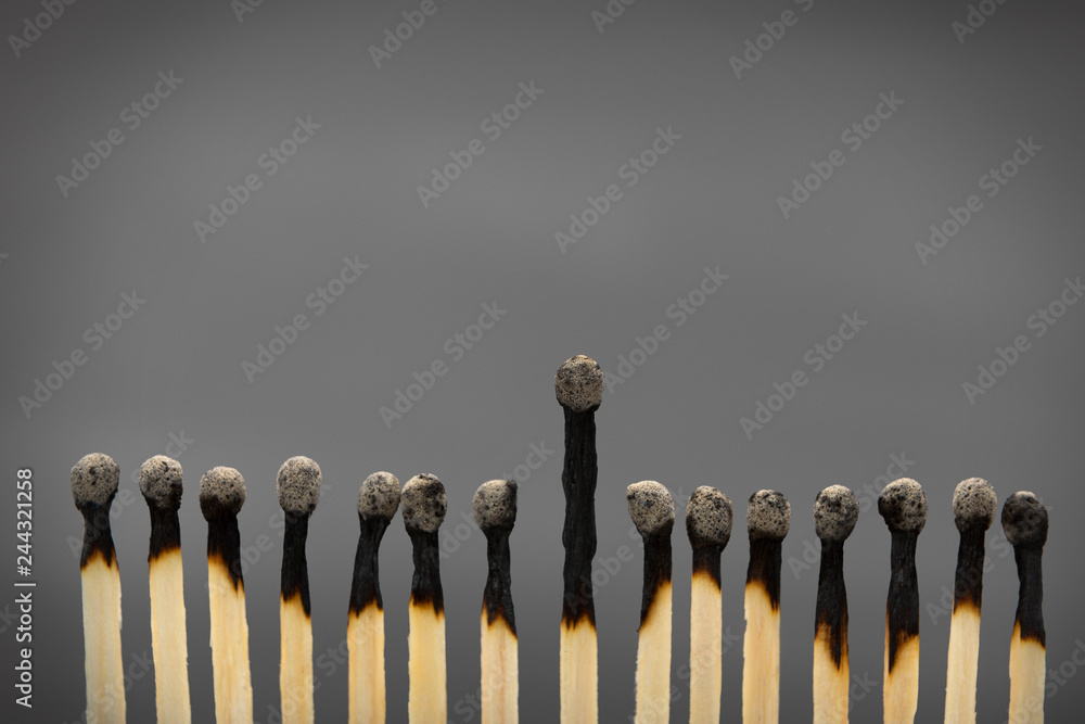 Group of burnt matches with one towering in middle Group of burnt matches with one towering in middle