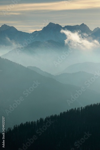 Mountain valley forest right before sunset