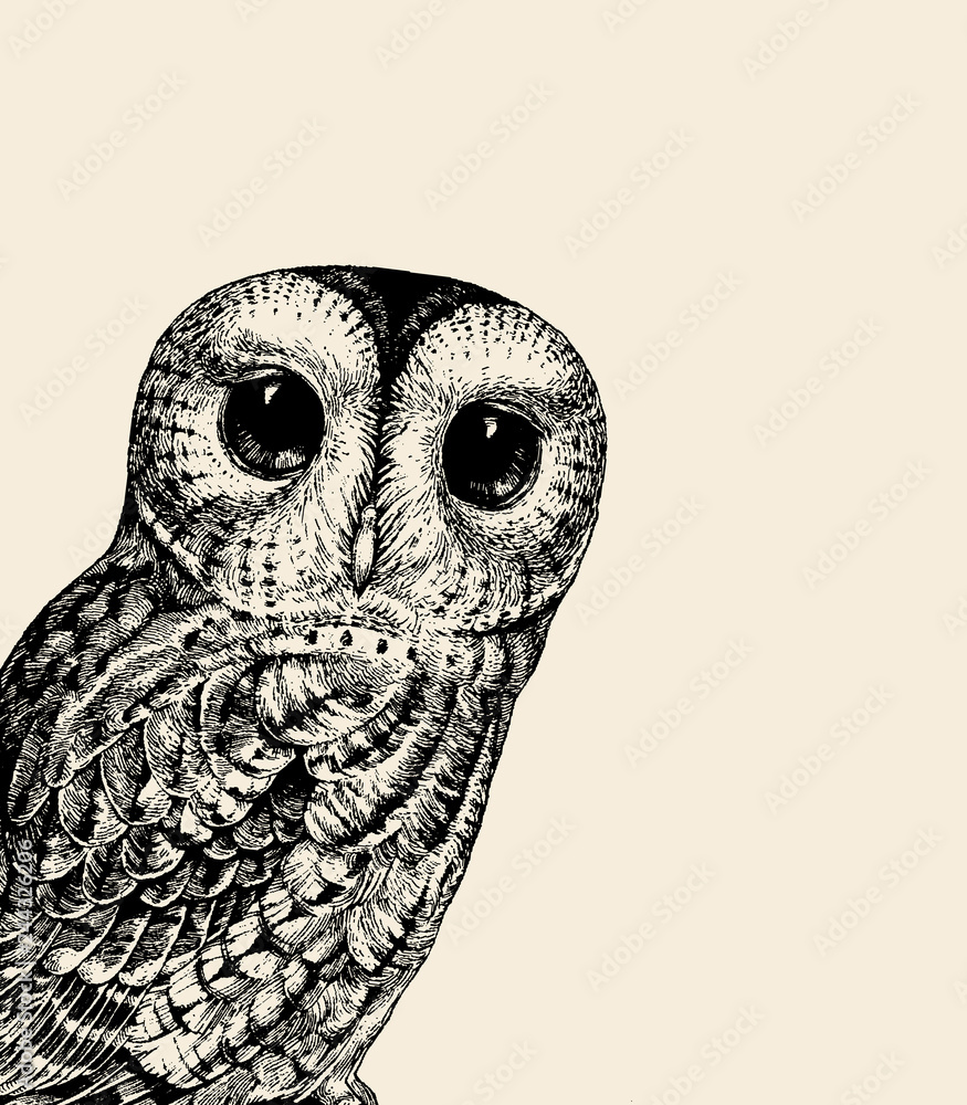 Cute Funny Owl Drawing Tapestry by Sweet Birdie Studio - Fine Art America