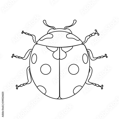 Isolated object of insect and fly icon. Set of insect and element stock symbol for web.