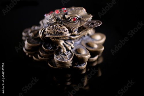 three legged toad with a coin in his mouth isolated on black background