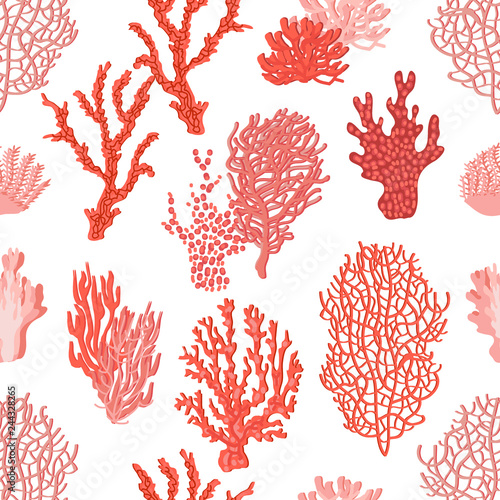 Photo Living corals in the sea.