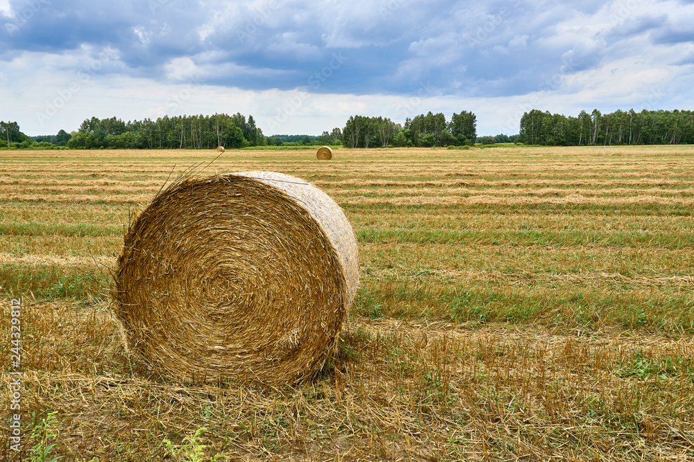 Stacks of straw and hay on the wheat field in Poland, late summer