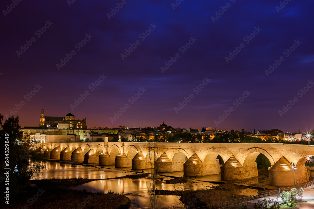 Roman Bridge in Cordoba at Night