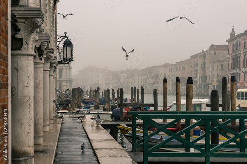 Venice 