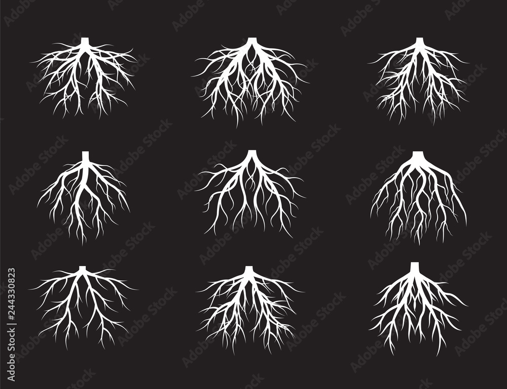 Set of White Roots Tree on black background. Vector Illustration. Set of White Roots Tree on black background. Vector Illustration.