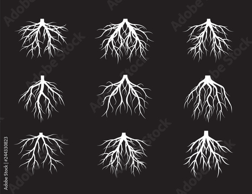 Set of White Roots Tree on black background. Vector Illustration.