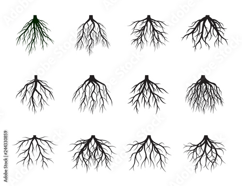 Set of Black Roots Tree. Vector Illustration.