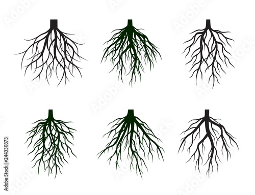 Set of Black Roots Tree. Vector Illustration.