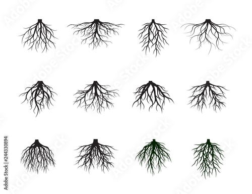 Set of Black Roots Tree. Vector Illustration.
