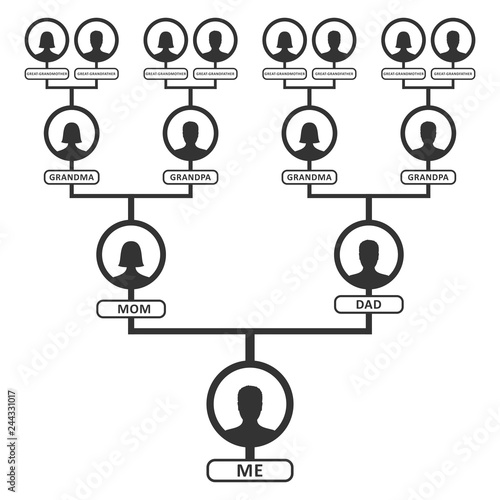 Family tree, pedigree or ancestry chart template. Family genealogical tree icons infographic avatars portraits in circular frames connected by lines. Links between relatives. Bloodline Vector