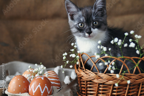 Cute grey little kitten in a wicker basket and Easter eggs of natural red color with a graphic pattern of white paint in a cardboard tray on a retro burlap background.