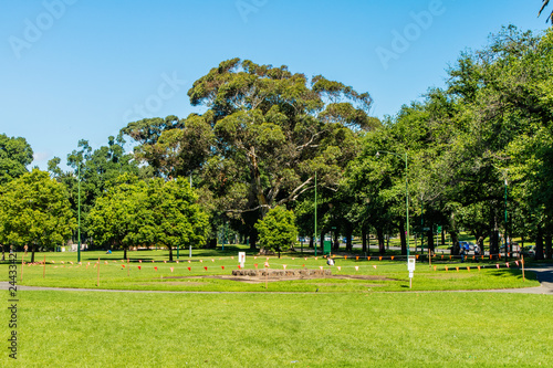 Passeio no parque