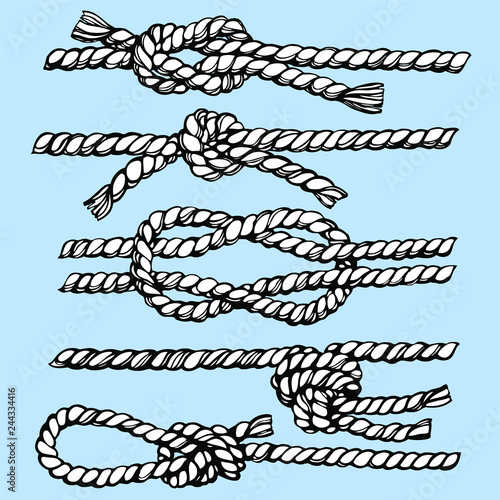 Hand drawn vector illustration of rope knots. Sketch style