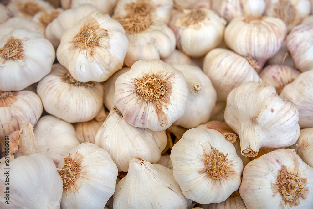 Fresh garlic on a closeup photo. Vitamin healthy food spice image. Spicy culinary ingredient. A bunch of white garlic heads. Top view of a bunch of white heads of garlic Fresh garlic on a closeup photo. Vitamin healthy food spice image. Spicy culinary ingredient. A bunch of white garlic heads. Top view of a bunch of white heads of garlic