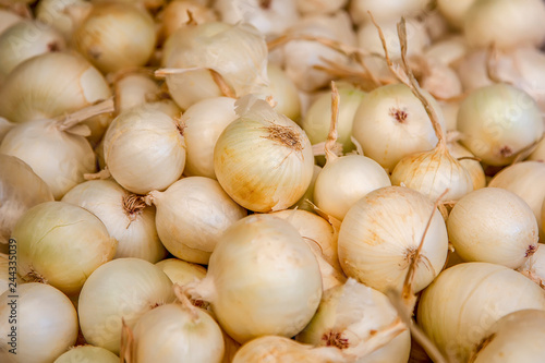 Fresh onions. Onions background. Ripe onions