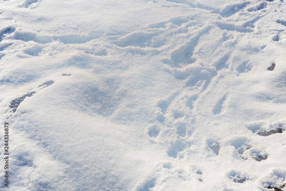 snow, white background snow, white background