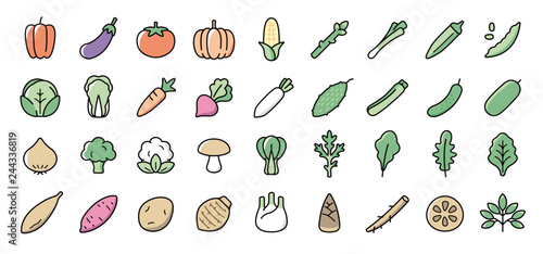 Vegetable Icon Set