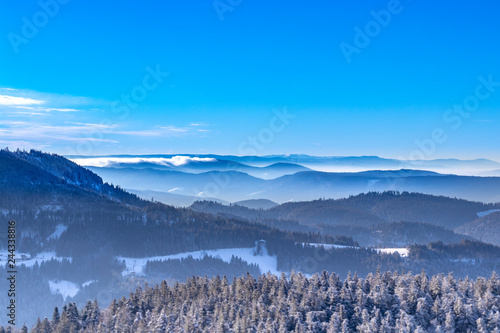Blick auf die Vogesen