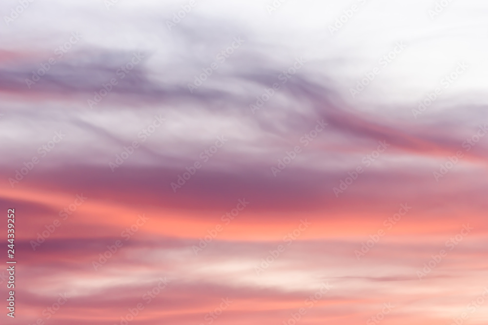 Pink layered clouds as background