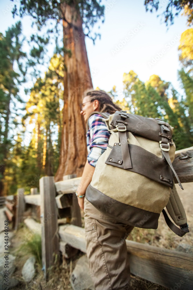 hiker in Sequoia national park in California, USA