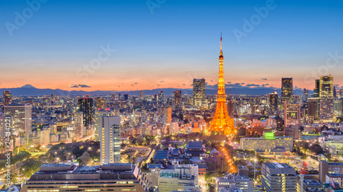 Tokyo, Japan cityscape © SeanPavonePhoto