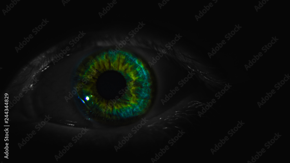 Menschen Auge Menschen Auge