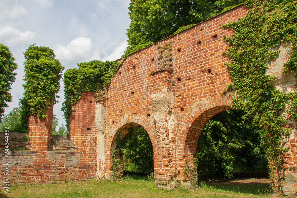 Fototapeta premium Ruine