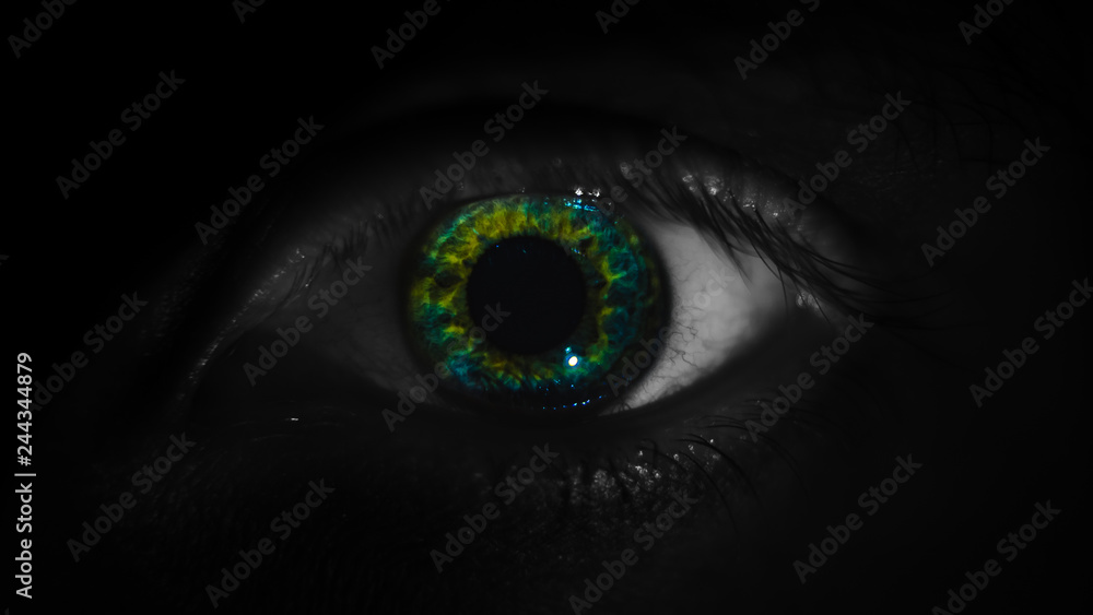 Menschen Auge Menschen Auge