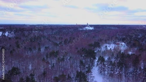 Aerial view of the winter forest in the City photo