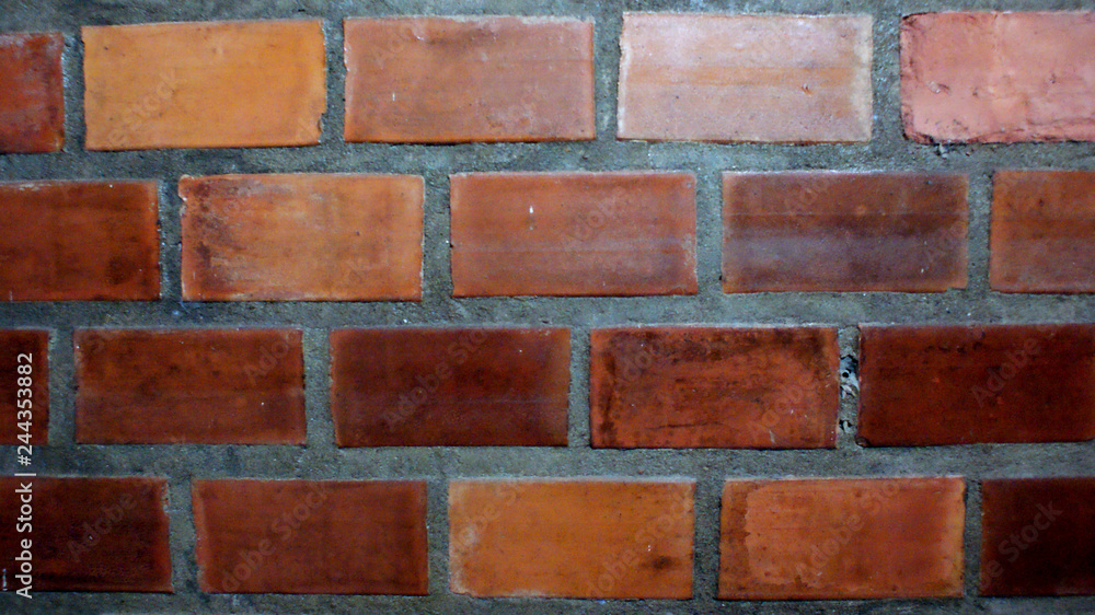 Fototapeta premium SONY DSC