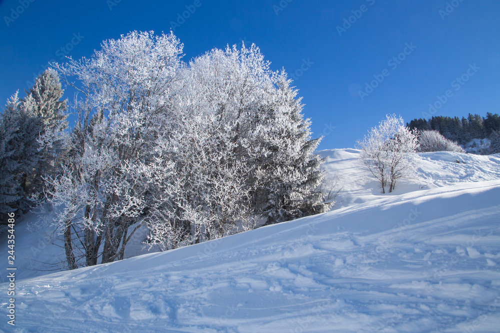 Grand Bornand Grand Bornand