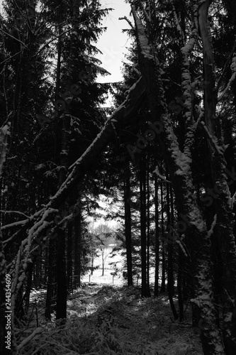 Wallpaper Mural Winter Season specific Panorama Torontodigital.ca